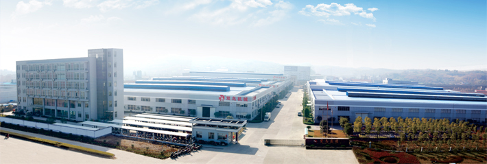浙江雙鳥(niǎo)集團(tuán)全景圖