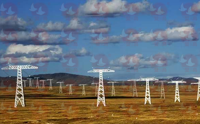 電力行業(yè)使用雙鳥(niǎo)電動(dòng)葫蘆